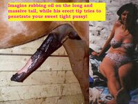 Elisabeth Bestiality Horse