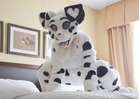 Female Only Furry Suit Porn - Watch Dotti Pink's Porn Videos for free!